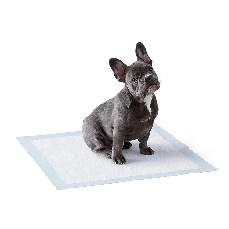 Eco Pet Product Pet Supply Pet Accessory Dog Sanitary Pad Door Pad Pet Toy Bed Sheet Cat Litter Pad Bed Sheet Dog Cage Pad Cooling Pad Pet Food Dog Bed Pet Pad