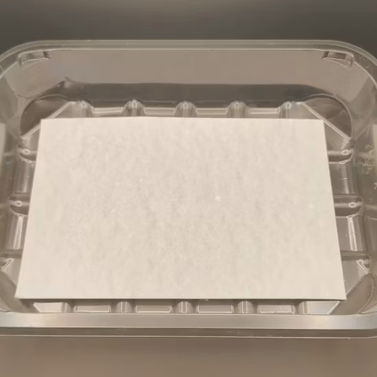 Einweg-Pad für saugfähiges Fleisch, Meeresfrüchte, Früchte